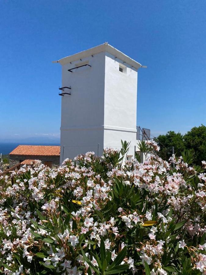 Torre Bandera Villa Aglientu Esterno foto